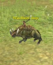 Windboar Imp